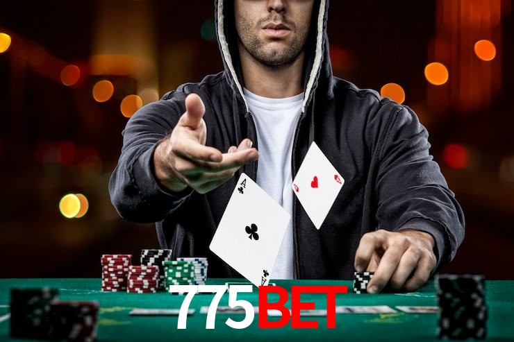 Apostas com odds competitivas na 775bet